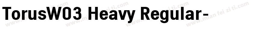 TorusW03 Heavy Regular字体转换